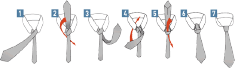 The Windsor Knot