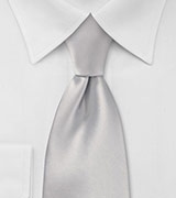 Solid Color Tie in Light Silver