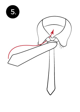 prince albert necktie knot