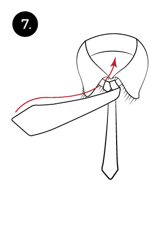 7th step when tying a full Windsor