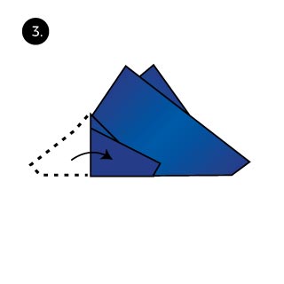 Two Tip Up Fold