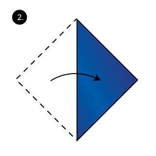 American Beauty Fold