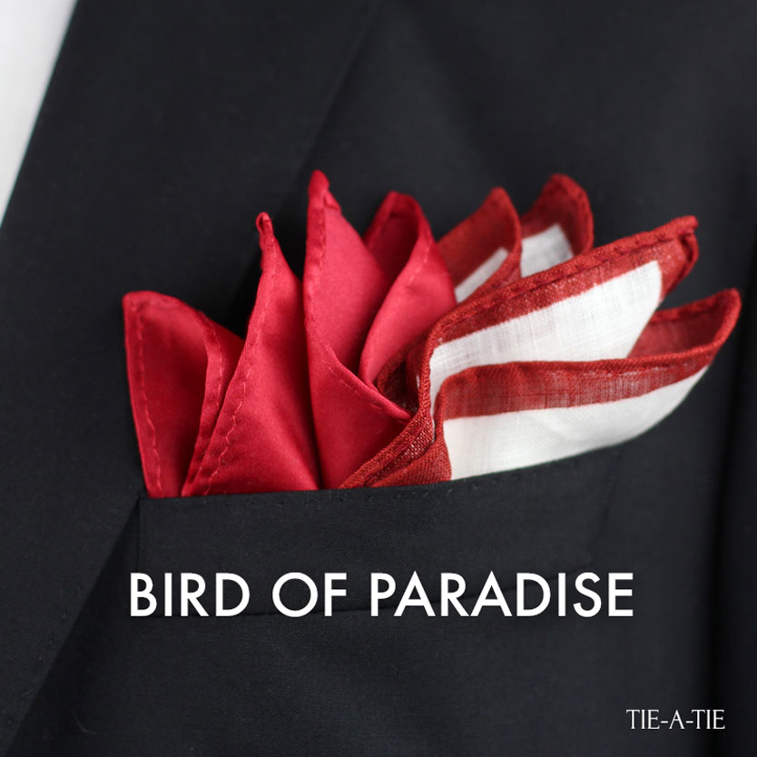 birdofparadise pocket square